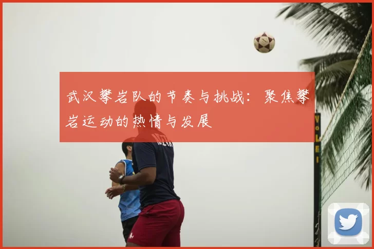 武汉攀岩队的节奏与挑战：聚焦攀岩运动的热情与发展