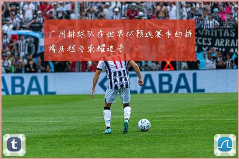 广州排球队在世界杯预选赛中的拼搏历程与荣耀追寻