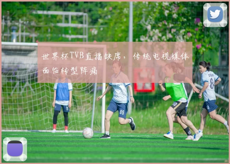 世界杯TVB直播缺席,传统电视媒体面临转型阵痛