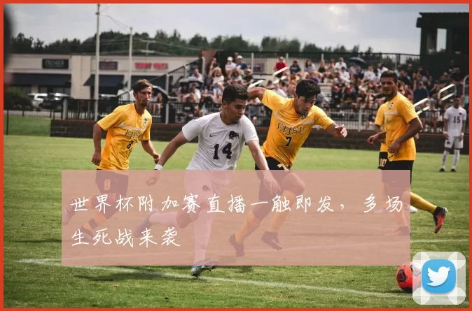世界杯附加赛直播一触即发,多场生死战来袭