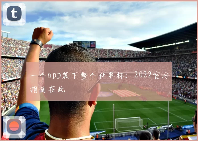 一个app装下整个世界杯：2022官方指南在此