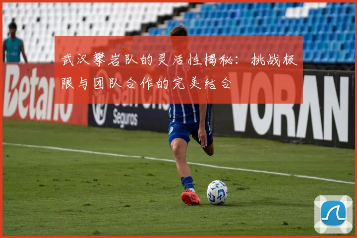 武汉攀岩队的灵活性揭秘：挑战极限与团队合作的完美结合