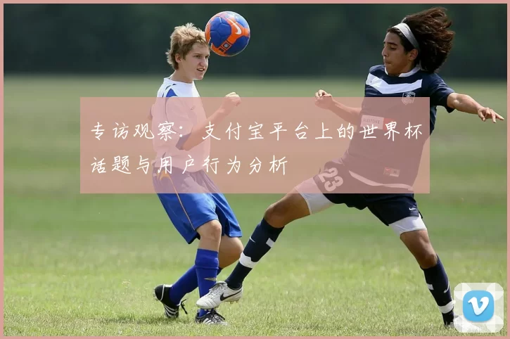 专访观察:支付宝平台上的世界杯话题与用户行为分析