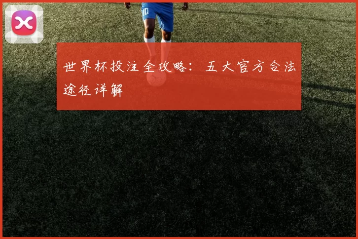 世界杯投注全攻略：五大官方合法途径详解