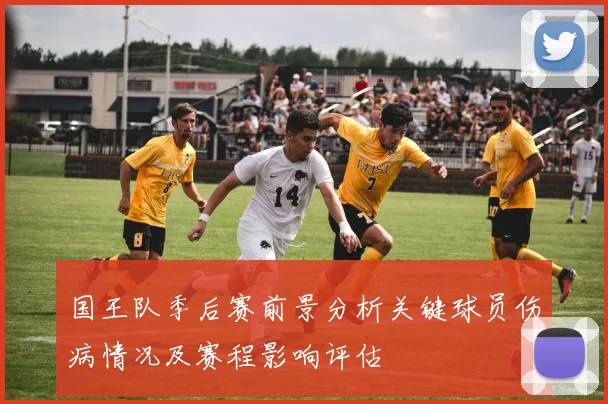 国王队季后赛前景分析关键球员伤病情况及赛程影响评估