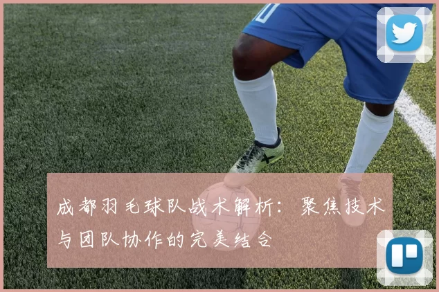 成都羽毛球队战术解析：聚焦技术与团队协作的完美结合