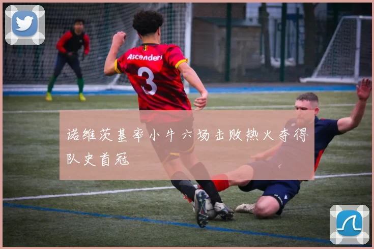 诺维茨基率小牛六场击败热火夺得队史首冠