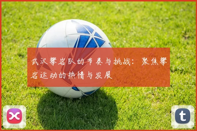 武汉攀岩队的节奏与挑战：聚焦攀岩运动的热情与发展
