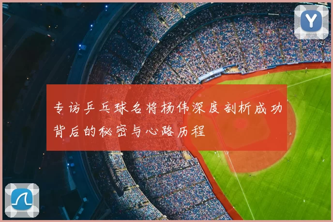 专访乒乓球名将杨伟深度剖析成功背后的秘密与心路历程