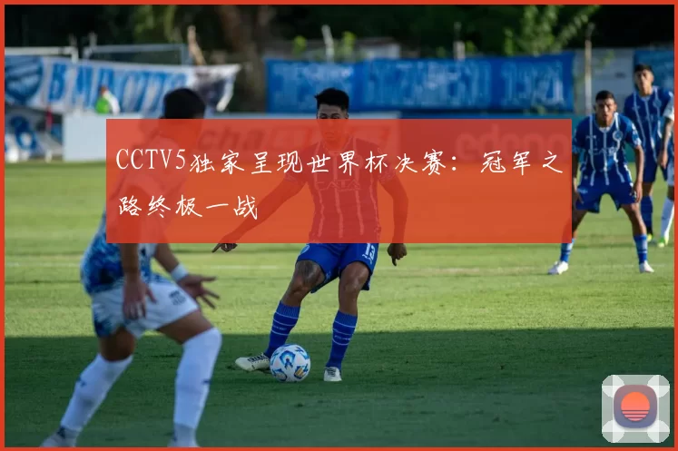 CCTV5独家呈现世界杯决赛:冠军之路终极一战