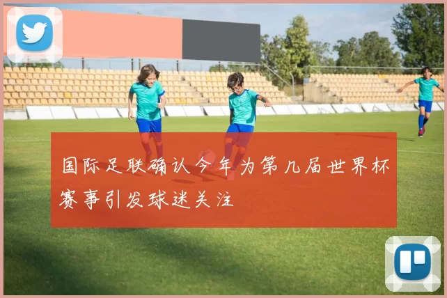 国际足联确认今年为第几届世界杯赛事引发球迷关注