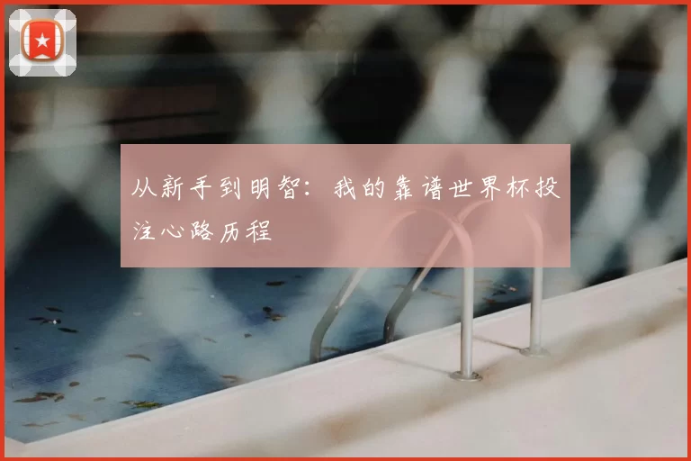 从新手到明智：我的靠谱世界杯投注心路历程