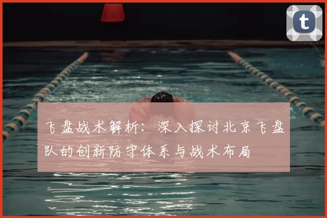 飞盘战术解析:深入探讨北京飞盘队的创新防守体系与战术布局