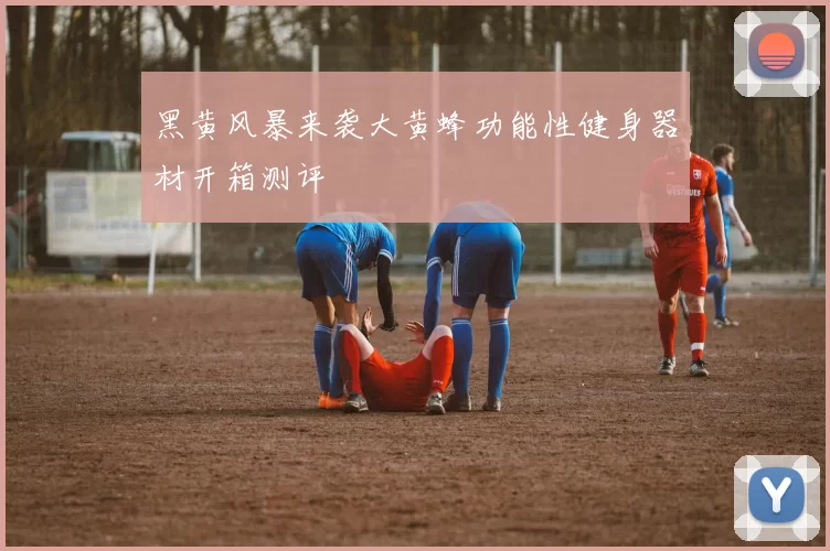 黑黄风暴来袭大黄蜂功能性健身器材开箱测评