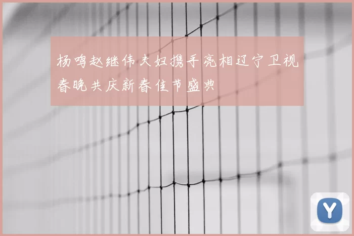 杨鸣赵继伟夫妇携手亮相辽宁卫视春晚共庆新春佳节盛典