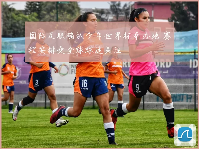 国际足联确认今年世界杯举办地 赛程安排受全球球迷关注
